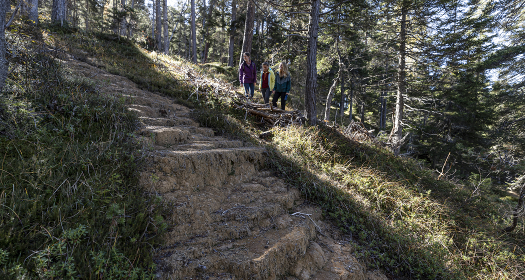 Quelltuff San Jon Dadaint Quelltuff San Jon Dadaint