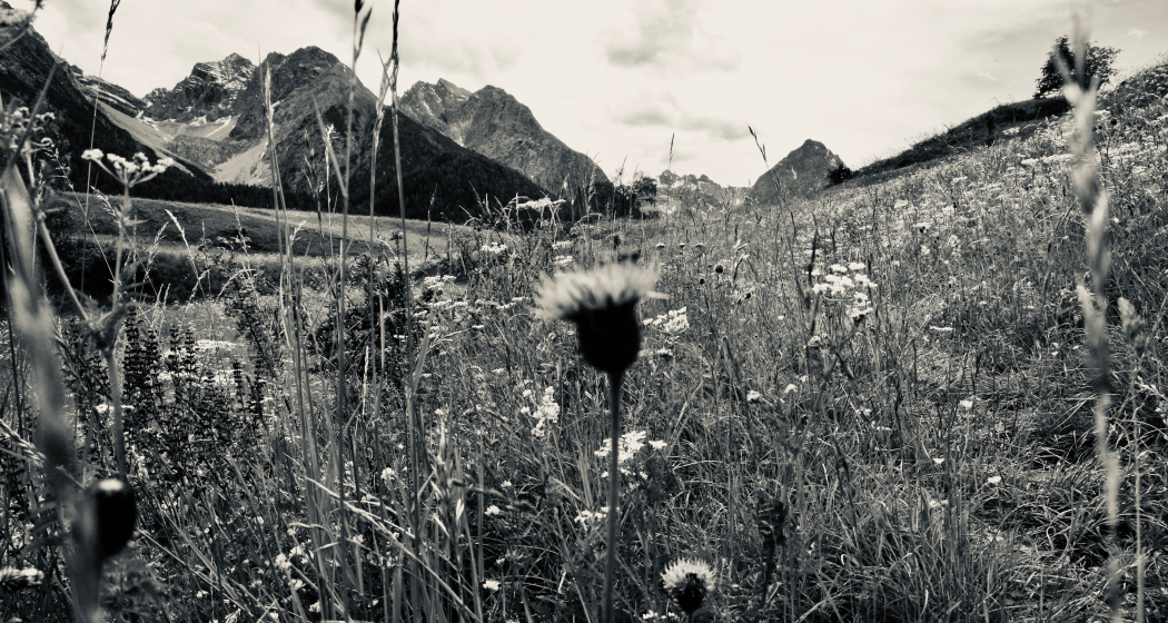 Seelenerlebnisse im Engadin Seelenerlebnisse im Engadin