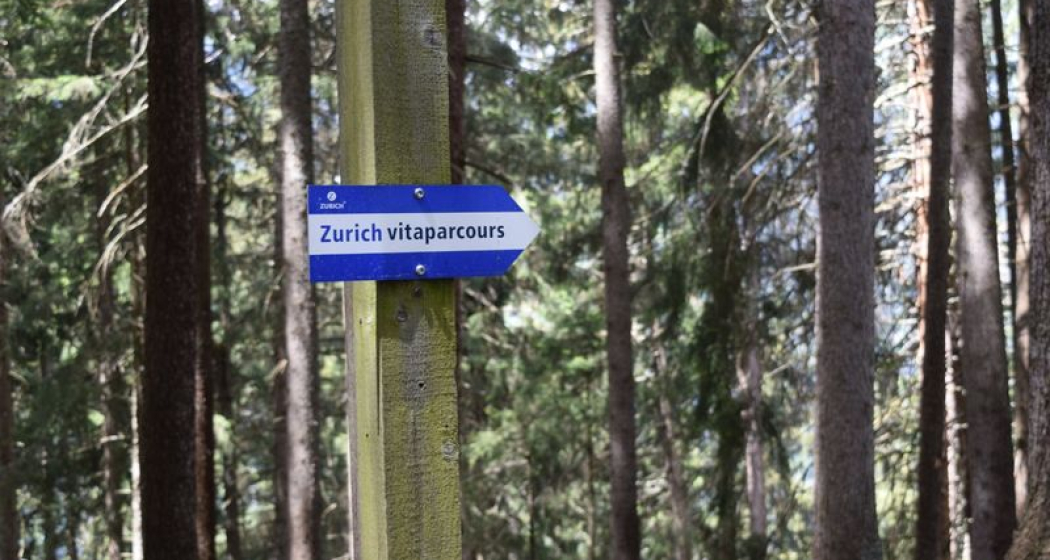 Vita Parcour Vita Parcour