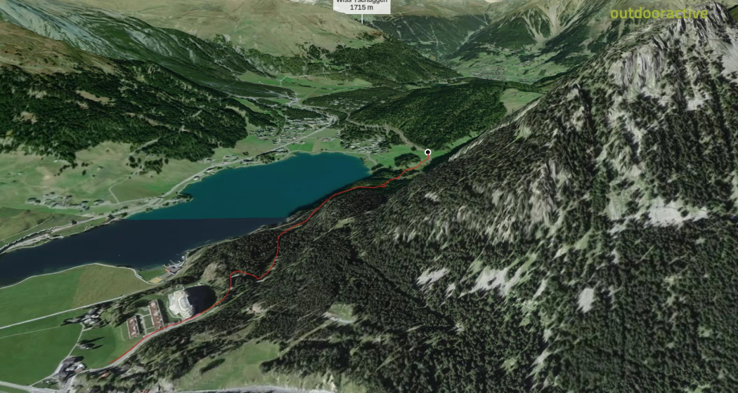 Mountainbike-tour in Davos Klosters: Seehornwald