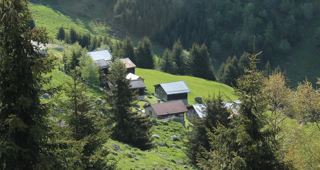 Abstieg ins Val Bugnei Abstieg ins Val Bugnei