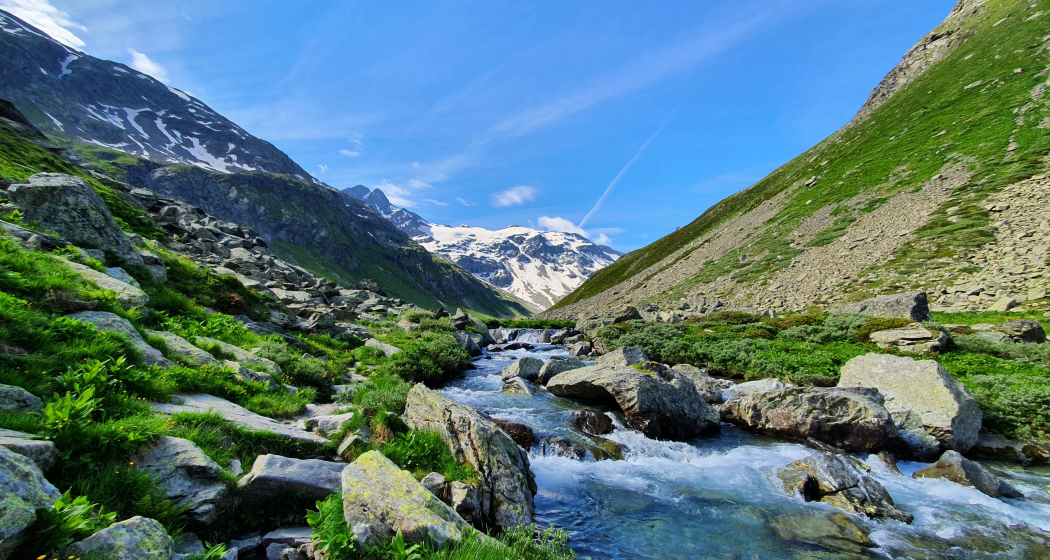 Areuabach im Val Curciusa