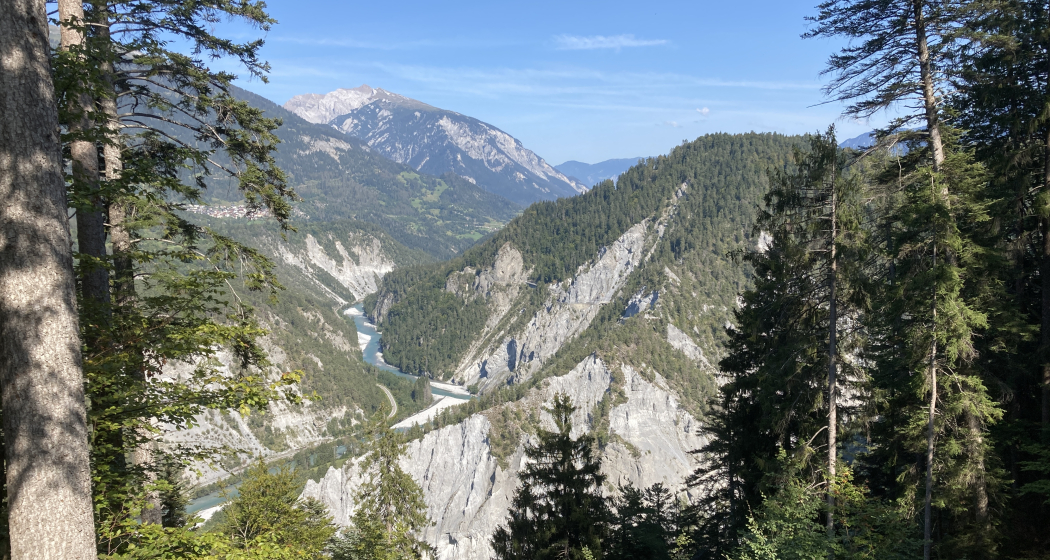 Blick in die Rheinschlucht Blick in die Rheinschlucht