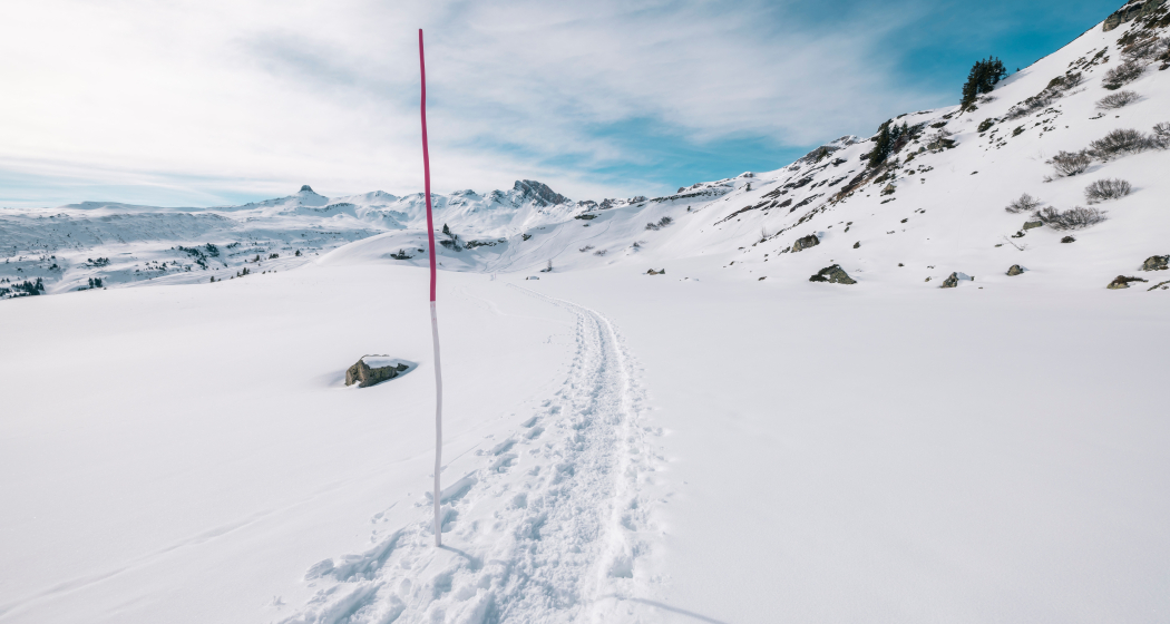 Schneeschuhtrail Plattis Schneeschuhtrail Plattis