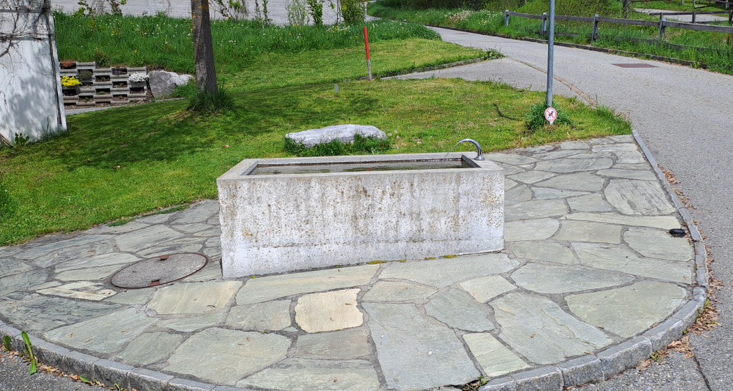 Wasserbrunnen Via Vitg Sura Ecke Flims Dorf (oua_79182169_image) Wasserbrunnen Via Vitg Sura Ecke Flims Dorf (oua_79182169_image)