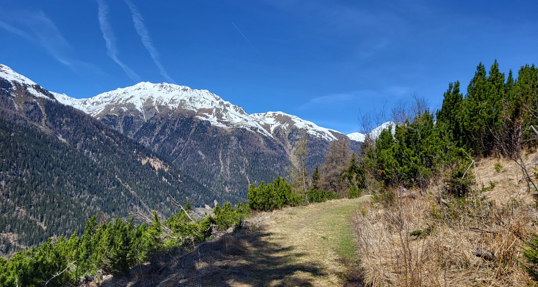 Zernez – Sivü (Rundweg) (oua_79460538_image) Zernez – Sivü (Rundweg) (oua_79460538_image)
