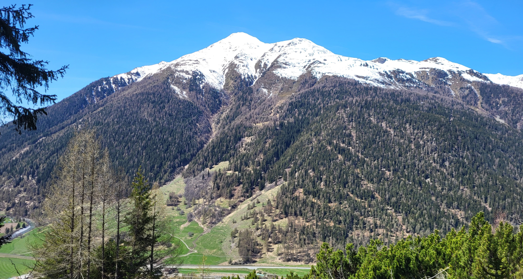 Zernez – Sivü (Rundweg) (oua_79460539_image) Zernez – Sivü (Rundweg) (oua_79460539_image)