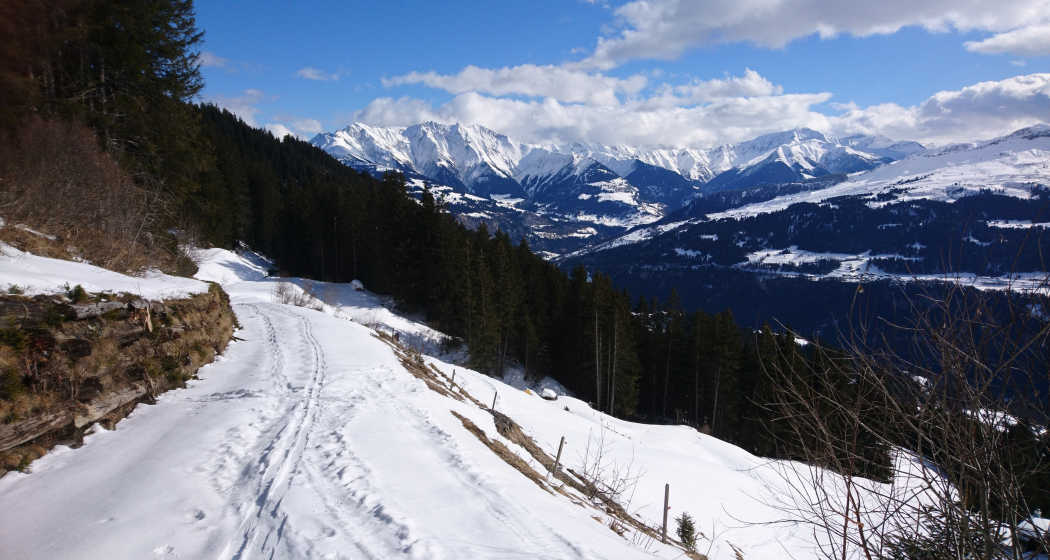 Schneeschuhwandern Siat (oua_79535786_image) Schneeschuhwandern Siat (oua_79535786_image)