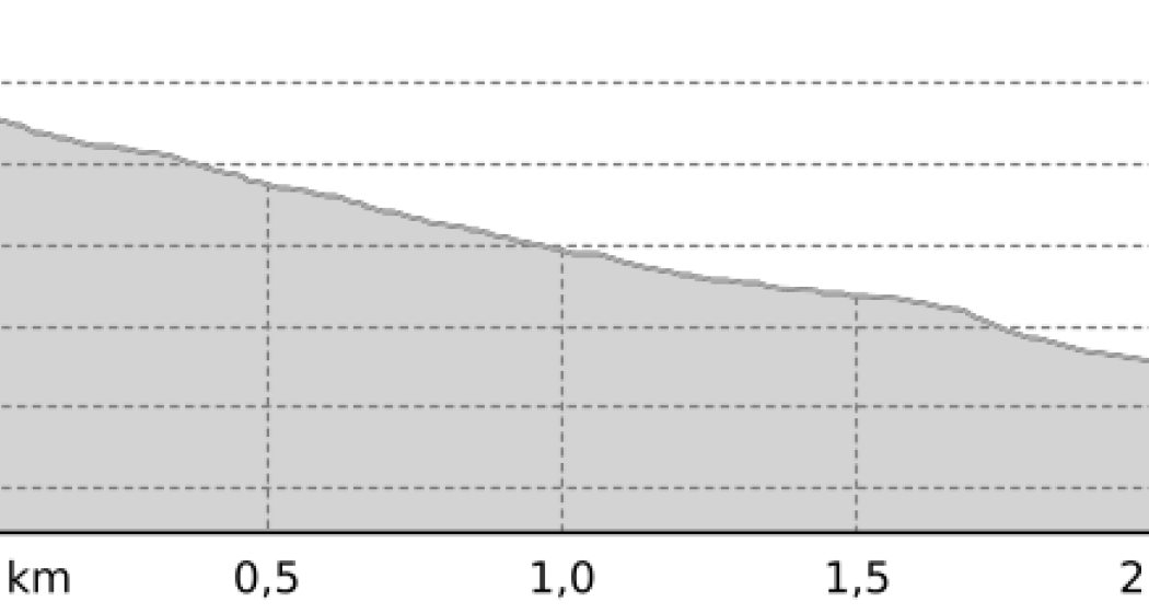 Munter (oua_800017225_0dff14a_profile)