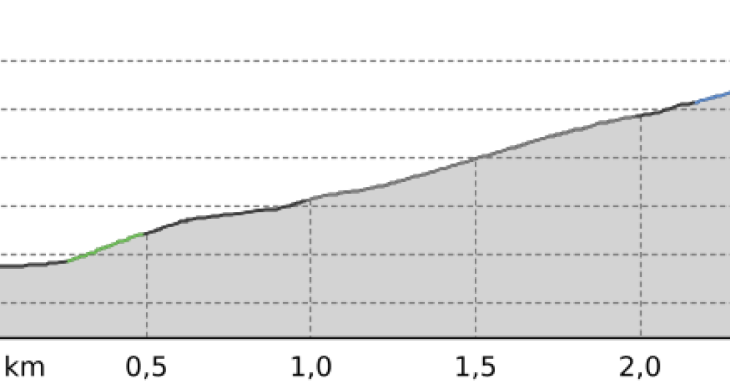 Aufstieg Prätschli (oua_800455200_a461efd_profile)