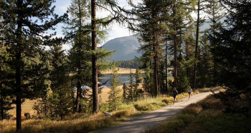 Trailrunning am Lej da Staz Trailrunning am Lej da Staz