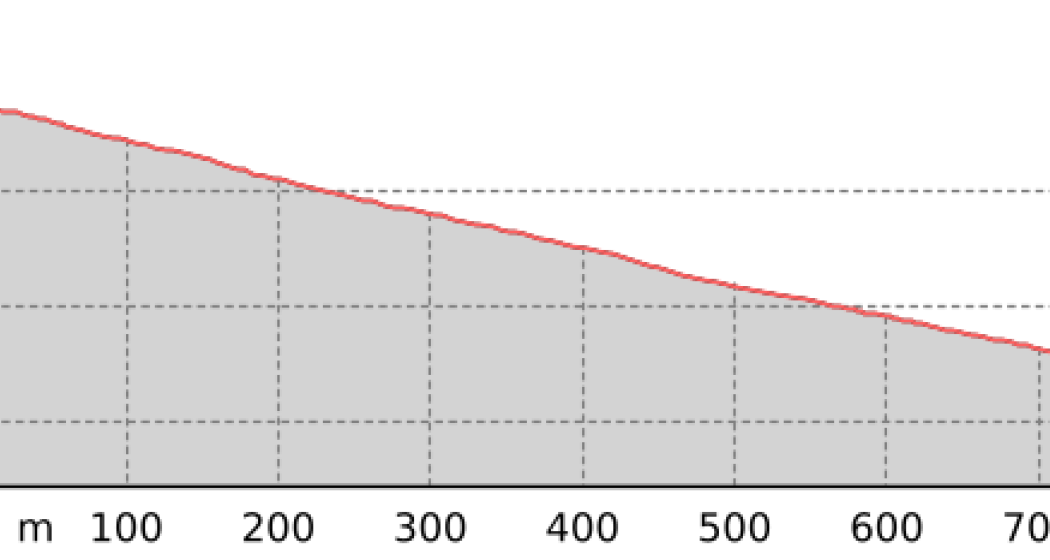 Chörbschhorn - Stafelalp Reshape #646 (oua_801114968_4f924d7_profile)