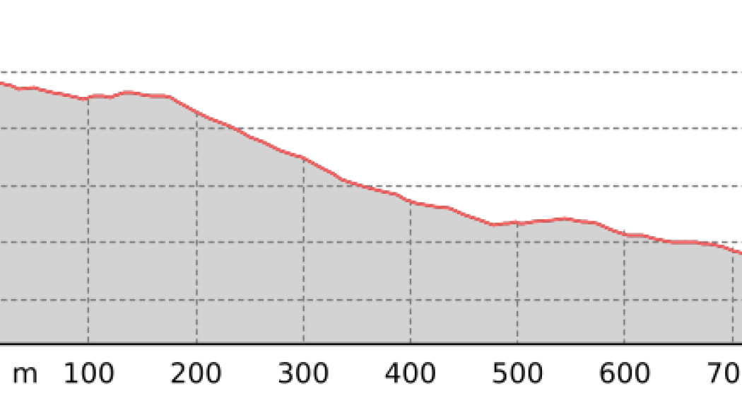 Obersäss - Erezsäss Trail (Sektion 3) (oua_801301336_bf990bd_profile) Obersäss - Erezsäss Trail (Sektion 3) (oua_801301336_bf990bd_profile)