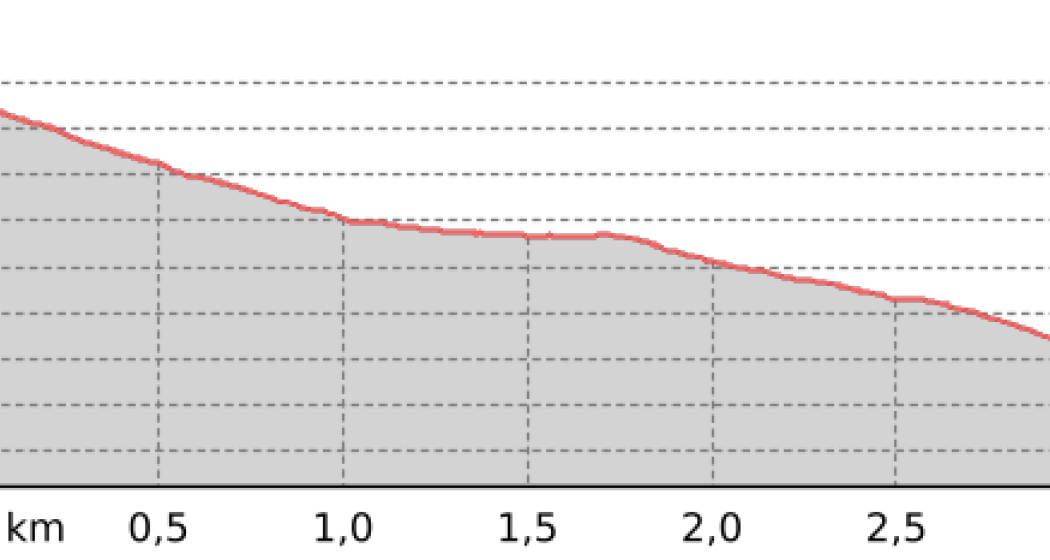 Sandhubel - Valbella Furgga - Wiesner Alp (oua_801321360_d581d27_profile)