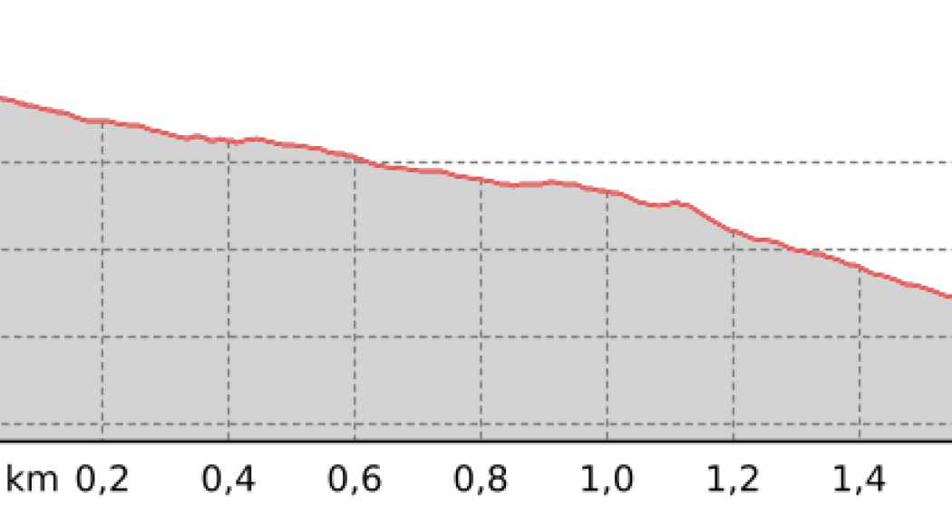 Bündi Trail (oua_801983782_23e2ed8_profile)
