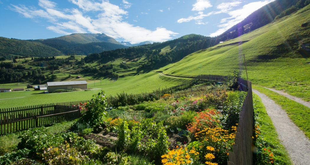 Von Segnas nach Mompé Tujetsch Von Segnas nach Mompé Tujetsch