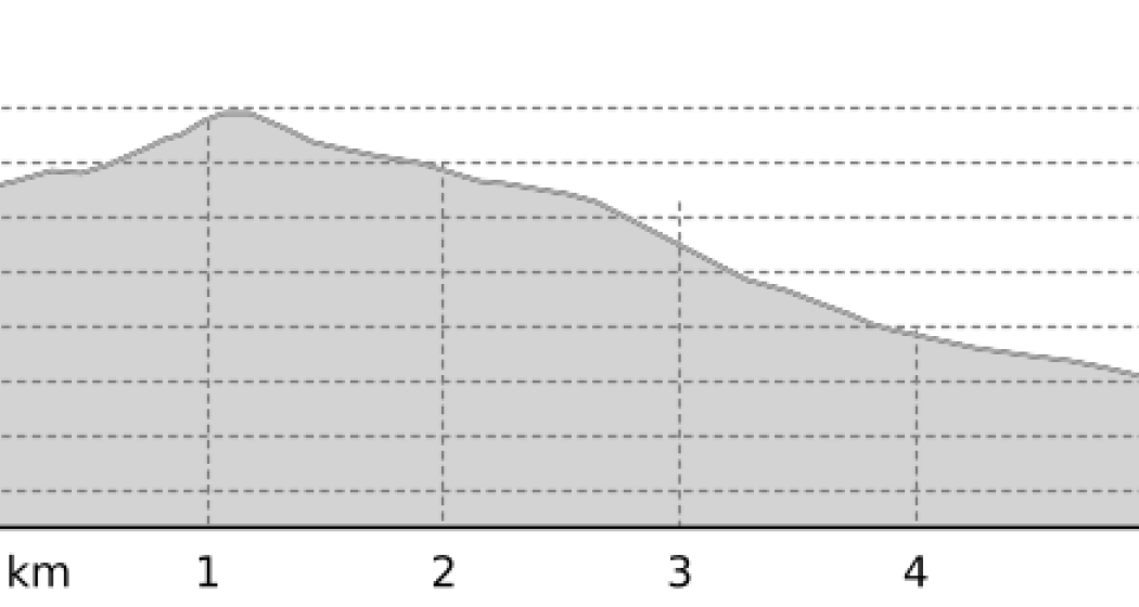 Piz Clünas – Abfahrt nach Ftan (oua_806084729_0813a77_profile) Piz Clünas – Abfahrt nach Ftan (oua_806084729_0813a77_profile)