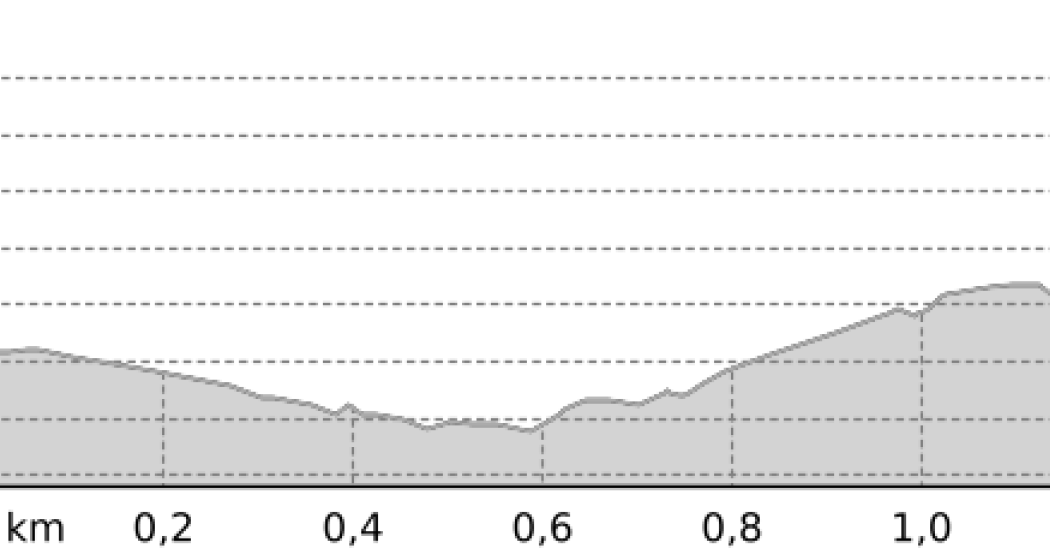 Samnaun Dorf Votlas - Rundwanderweg (W7b) (oua_806369221_2fac143_profile)