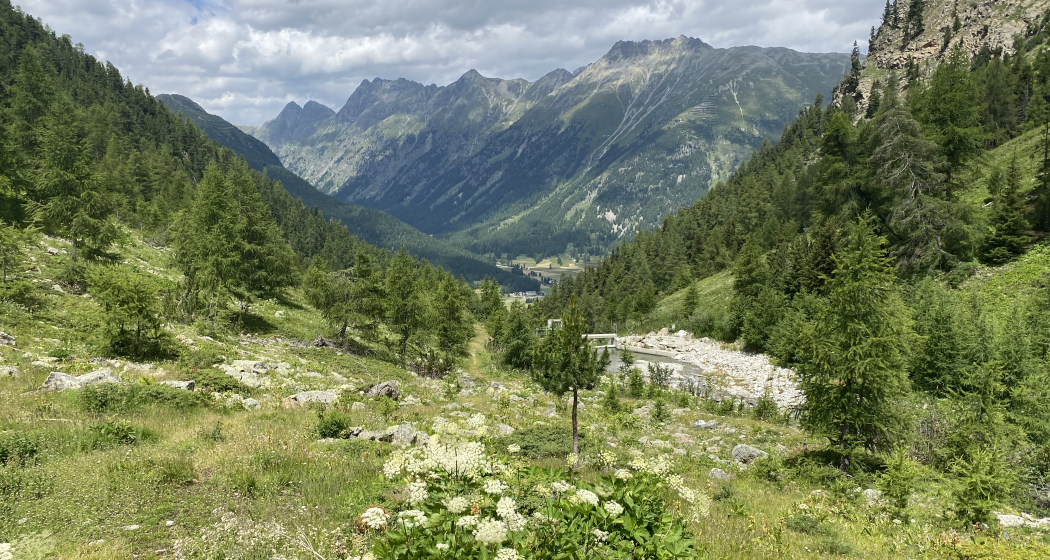 Val Champagna Val Champagna