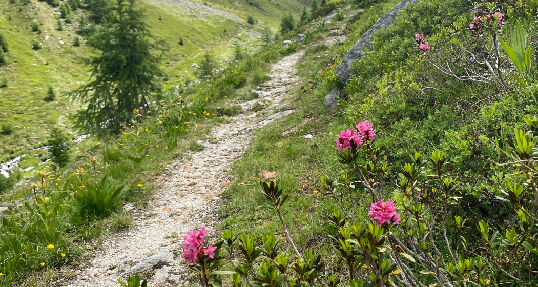 Val Champagna Val Champagna