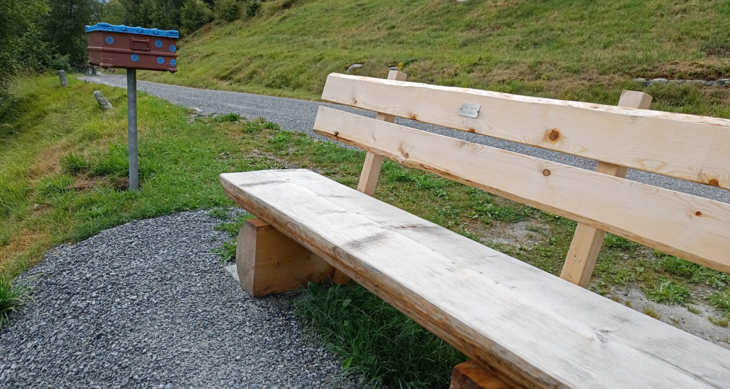 Lesebank Plattas, Brigels Lesebank Plattas, Brigels