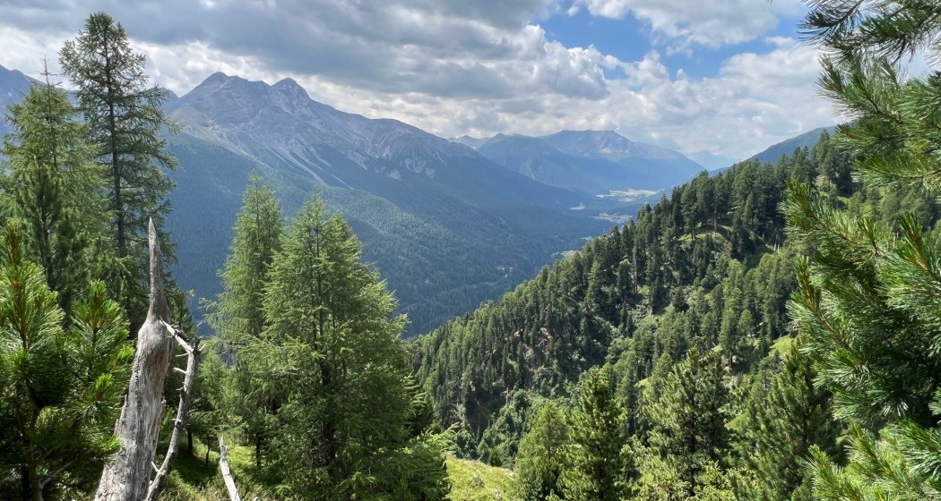 Brail – Alp Barlas-ch – Alp Munt – Zernez (oua_82085356_image)