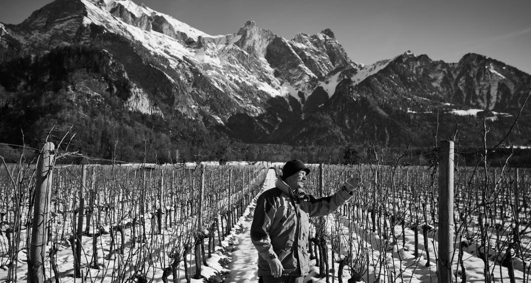 Weingut Familie Hansruedi Adank Weingut Familie Hansruedi Adank