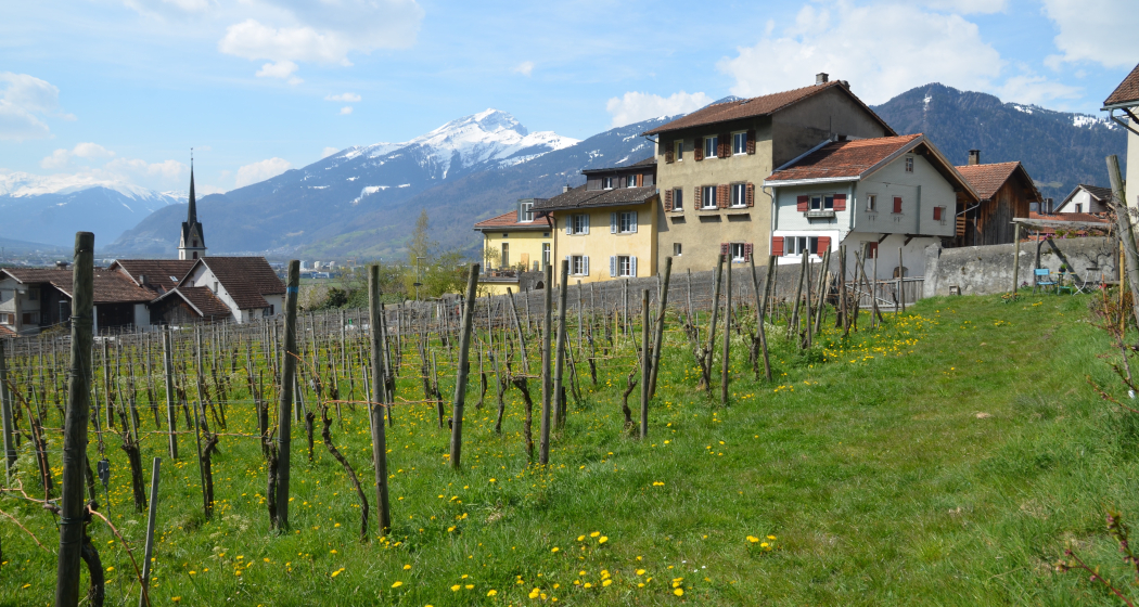 Haus Schmid, jetzt Fromm Haus Schmid, jetzt Fromm