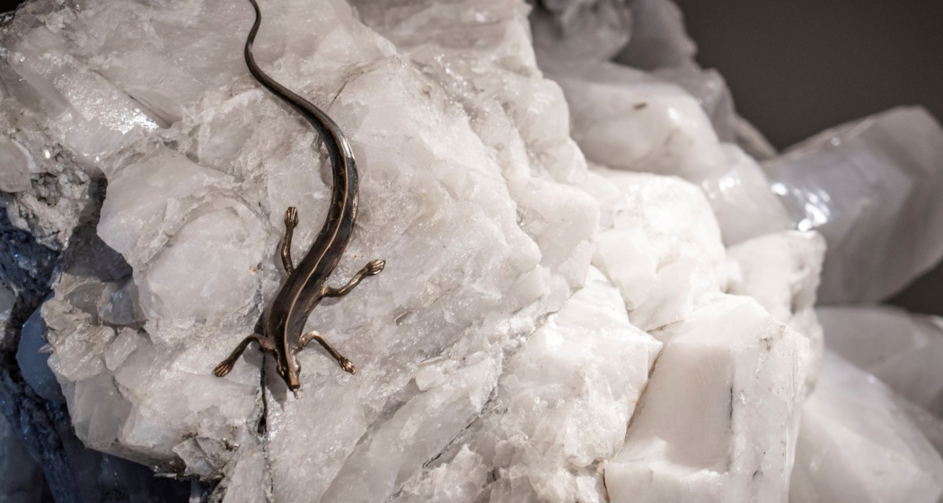 Eidechse auf dem Stern der vier Winde
