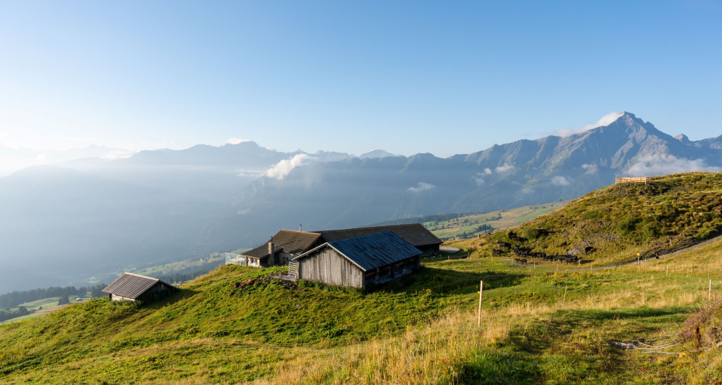 Sarner Alp Sarner Alp