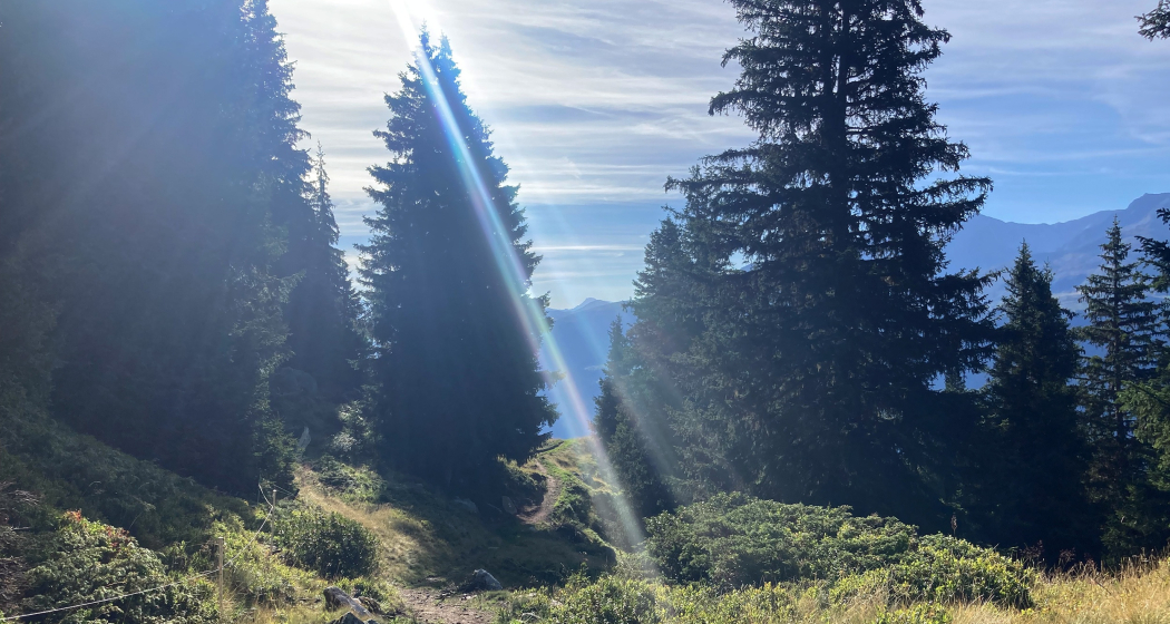 Aussicht auf der Rundtour Alp Glivers Aussicht auf der Rundtour Alp Glivers