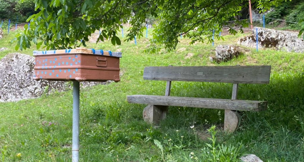 Lesebox Plaun Salter Danis Lesebox Plaun Salter Danis