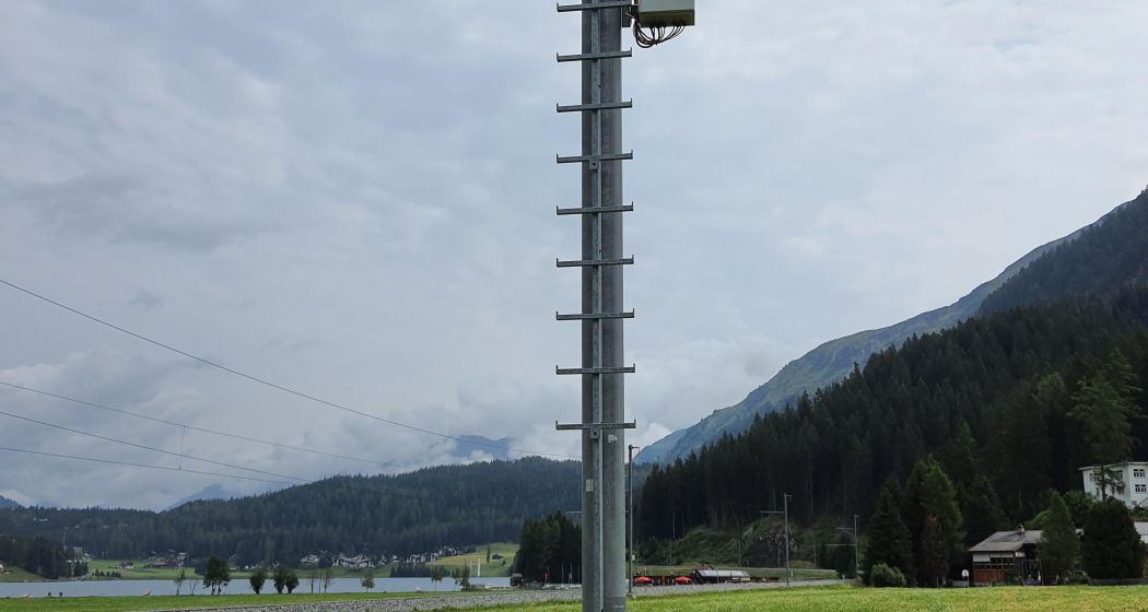 Forschung am Wegesrand: Wald und Umwelt (oua_86450495_image)