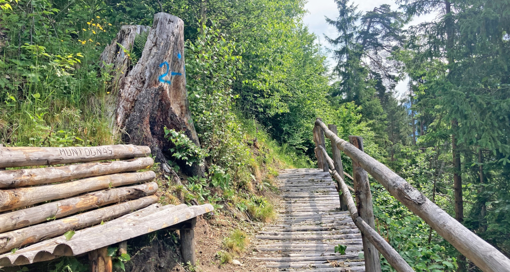 Holztreppe Rundwanderung Crappa Grossa Holztreppe Rundwanderung Crappa Grossa