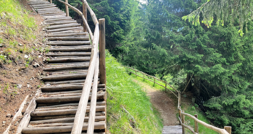 Holztreppe Rundwanderung Crappa Grossa Holztreppe Rundwanderung Crappa Grossa