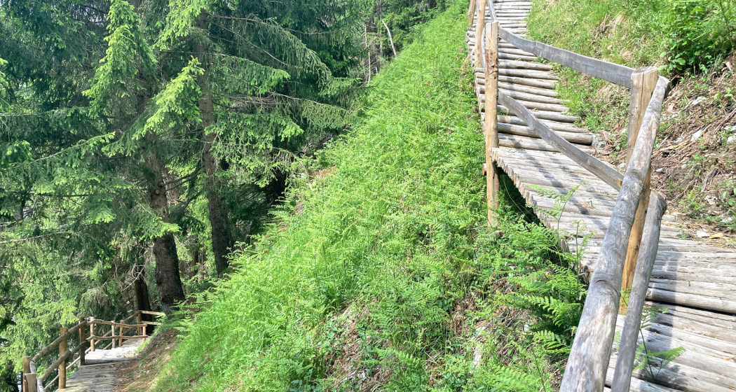 Holztreppe Rundwanderung Crappa Grossa Holztreppe Rundwanderung Crappa Grossa