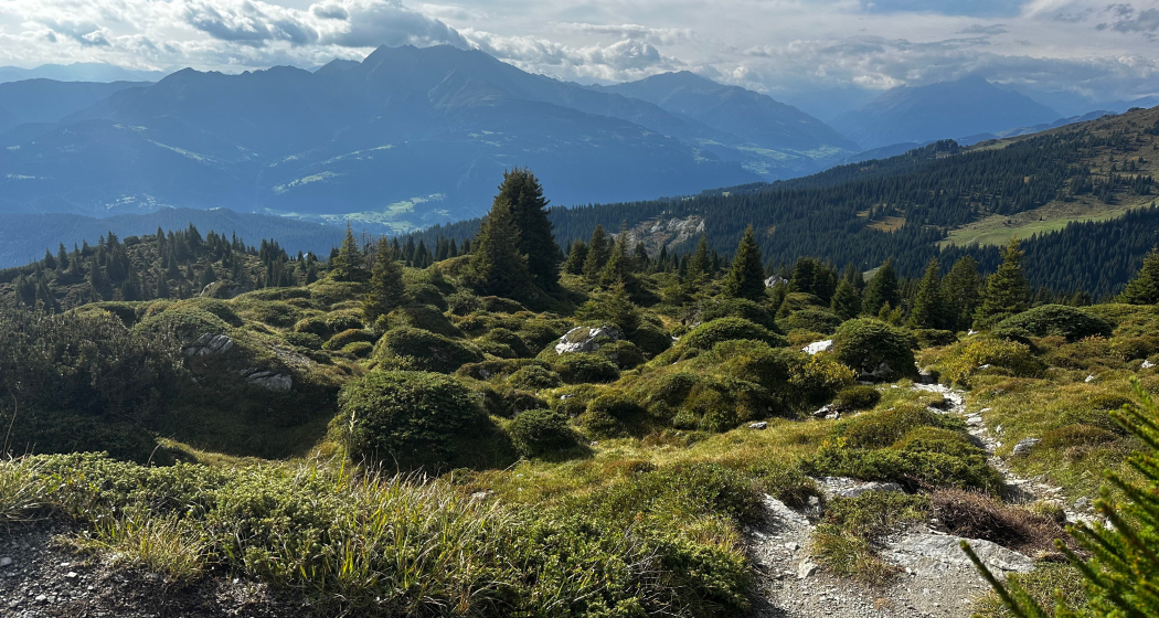 Senda panoramica: Nagens - Runcahöhe - Flims 20N (oua_87503048_image) Senda panoramica: Nagens - Runcahöhe - Flims 20N (oua_87503048_image)