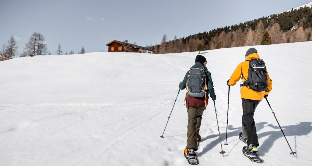 Pischa Route: Berg - Arvenwald - Tal (oua_88676727_image)