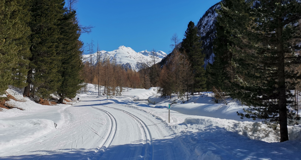 Loipe ins Val Bever Loipe ins Val Bever