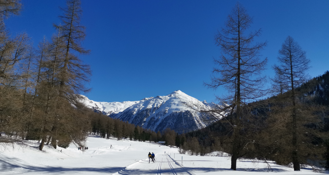 Loipe ins Val Bever Loipe ins Val Bever