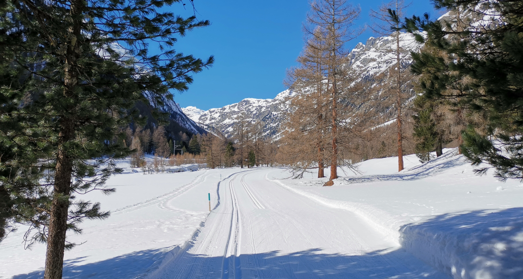 Loipe ins Val Bever Loipe ins Val Bever