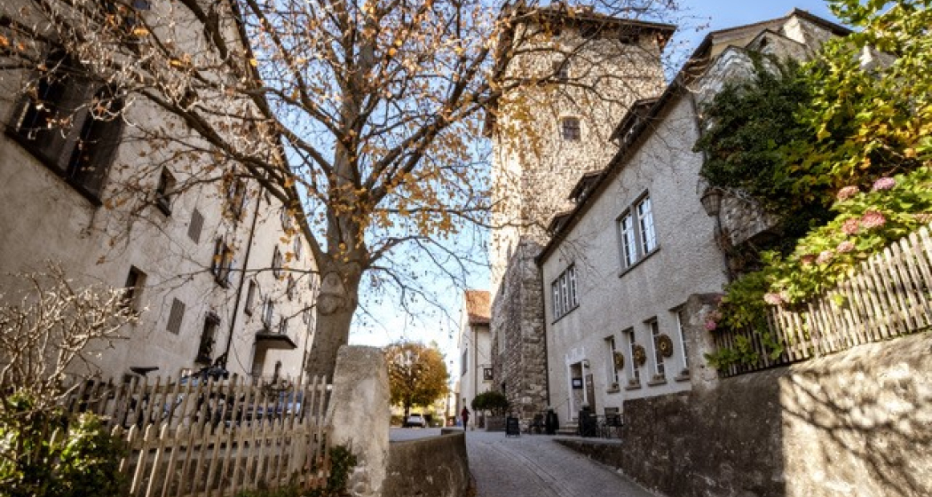 Schloss Maienfeld Schloss Maienfeld