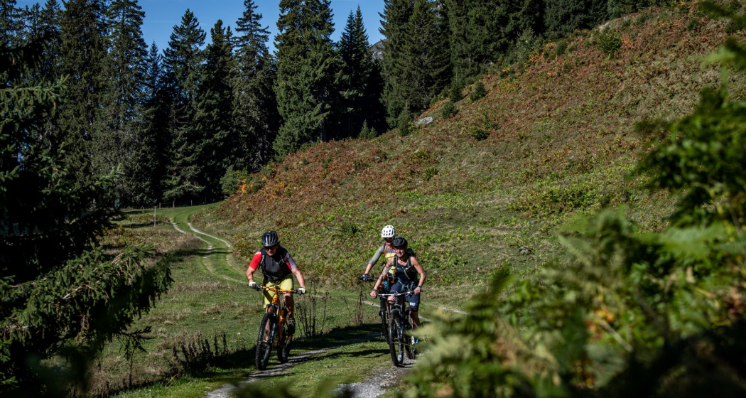 Kurz nach dem Downhill von der Alp Tschegn Dadens Sut Kurz nach dem Downhill von der Alp Tschegn Dadens Sut