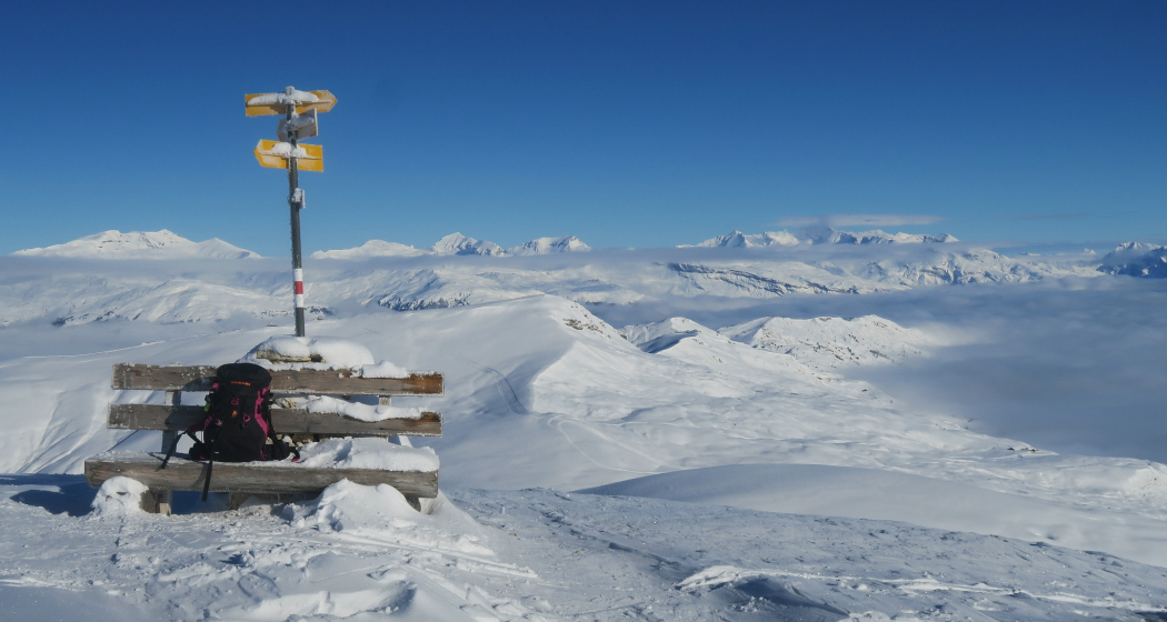 Bänkli am Gipfel Bänkli am Gipfel