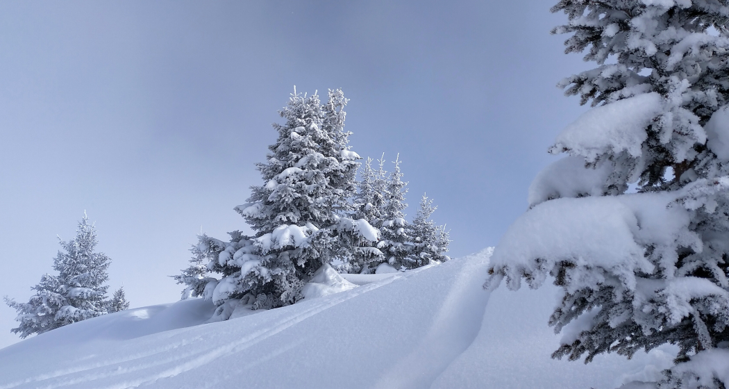 Typische Winterlandschaften während dieser Tour Typische Winterlandschaften während dieser Tour