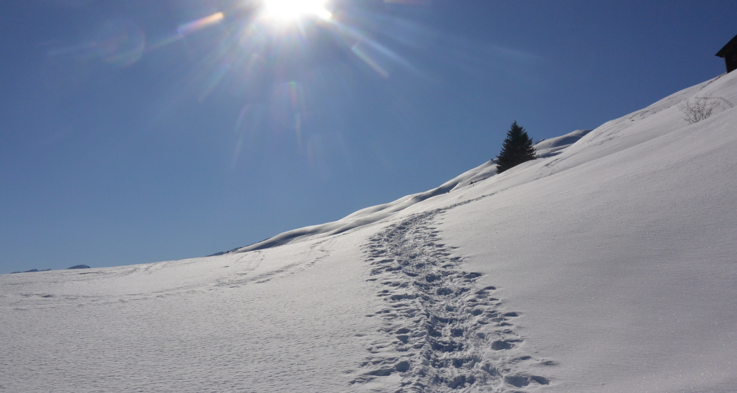 Oft sind es sanfte Hänge