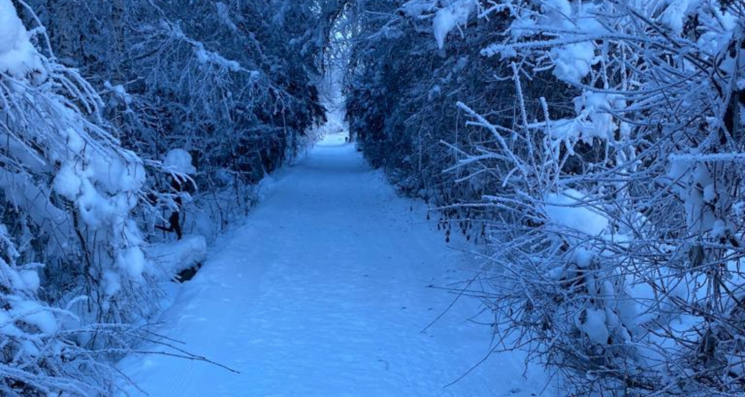 Aufnahme des Winterwanderwegs entlang dem Kunstpfad in Trun. Aufnahme des Winterwanderwegs entlang dem Kunstpfad in Trun.