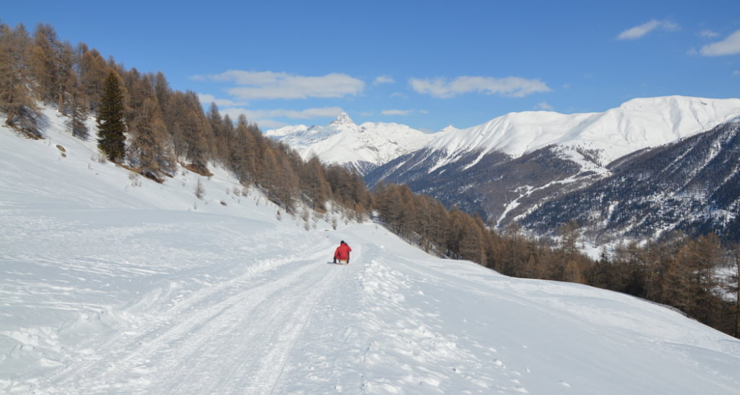 Schlittelweg von der Alp Es-cha Dadour