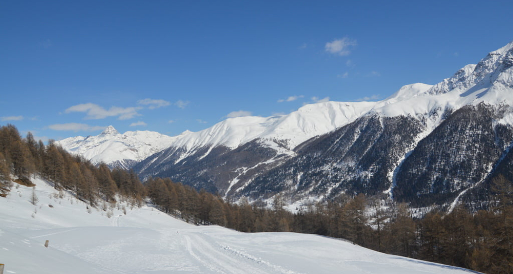 Schlittelweg von der Alp Es-cha Dadour
