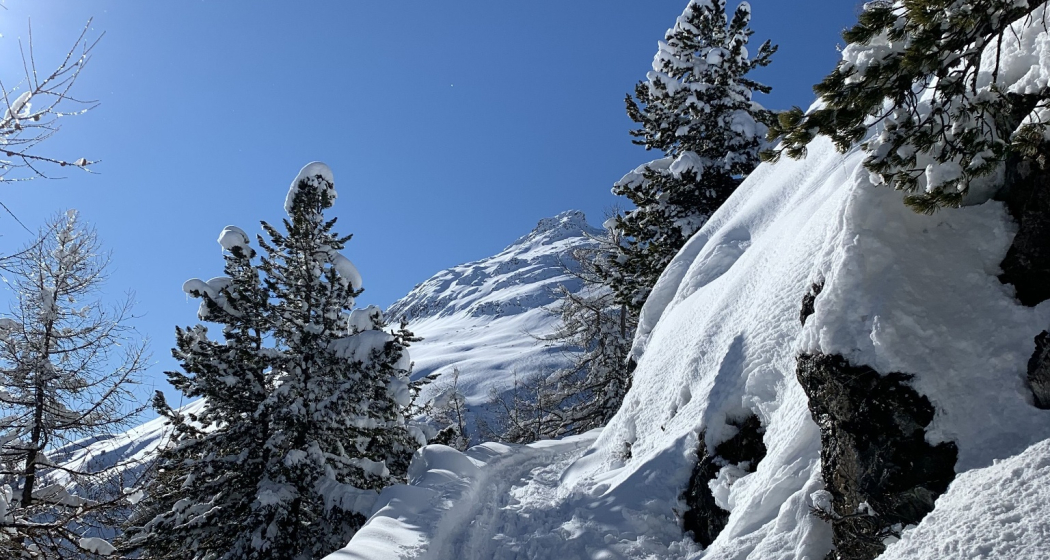 Weg zur Alp Muntatsch Weg zur Alp Muntatsch
